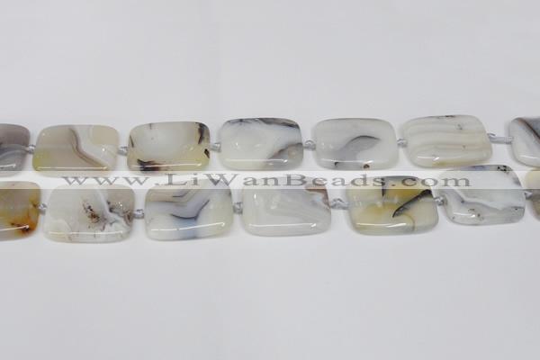 CAG7424 15.5 inches 20*30mm rectangle Montana agate beads