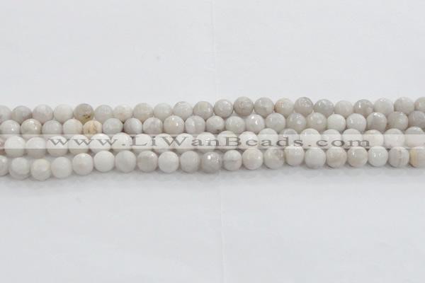 CAG8516 15.5 inches 10mm faceted round grey agate beads wholesale