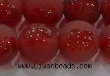 CAG8916 15.5 inches 12mm round matte red agate beads wholesale