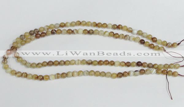 CAG936 16 inches 6mm round madagascar agate gemstone beads