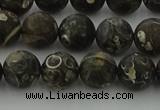 CAG9383 15.5 inches 10mm round matte turritella agate beads