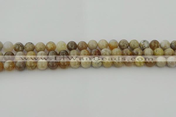 CAG9402 15.5 inches 8mm round ocean fossil agate beads wholesale