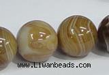 CAG943 16 inches 20mm round madagascar agate gemstone beads