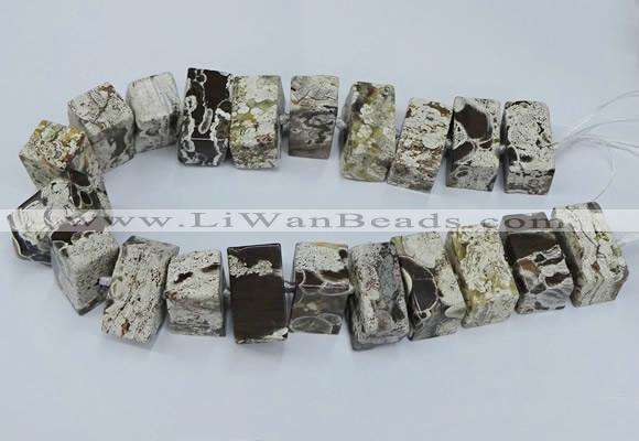 CAG9750 15.5 inches 15*28mm - 17*30mm cuboid ocean agate beads