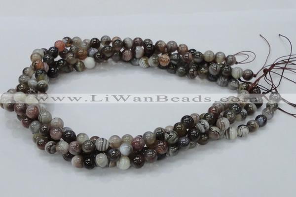 CAG981 15.5 inches 12mm round botswana agate beads wholesale