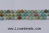 CAM04 10mm  round mixed color natural amazonite beads Wholesale