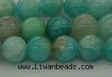 CAM1572 15.5 inches 8mm round Russian amazonite beads wholesale