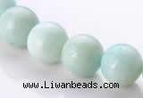 CAM19 15.5 inches 12mm natural amazonite round beads Wholesale