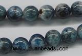 CAP06 15.5 inches 10mm round apatite gemstone beads wholesale