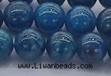 CAP363 15.5 inches 10mm round apatite gemstone beads wholesale