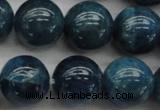 CAP403 15.5 inches 10mm round A grade natural apatite beads