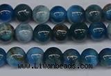 CAP411 15.5 inches 6mm round apatite gemstone beads wholesale