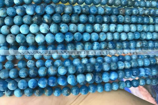 CAP588 15.5 inches 6mm round apatite gemstone beads