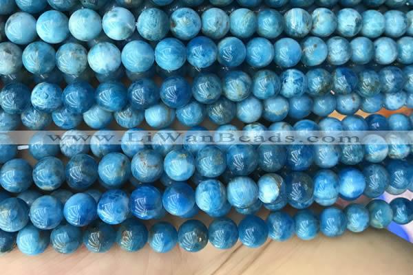 CAP590 15.5 inches 10mm round apatite beads wholesale