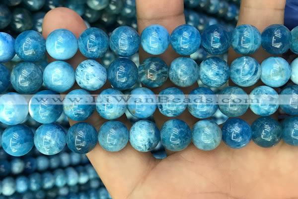 CAP608 15.5 inches 10mm round natural apatite gemstone beads