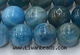 CAP631 15.5 inches 8mm round apatite beads wholesale