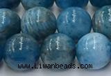 CAP632 15.5 inches 10mm round apatite beads wholesale