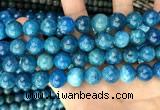 CAP654 15.5 inches 12mm round natural apatite beads wholesale