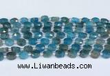 CAP700 15.5 inches 6*8mm faceted oval apatite beads