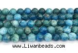 CAP757 15 inches 10mm round apatite gemstone beads wholesale