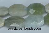 CAQ590 15.5 inches 15*20mm faceted freeform aquamarine beads