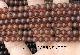 CAR231 15.5 inches 5mm - 5.5mm round natural amber beads wholesale