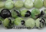 CAU201 15.5 inches 12mm flat round Australia chrysoprase beads