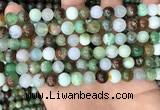 CAU436 15.5 inches 8mm round Australia chrysoprase beads wholesale