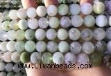 CAU463 15.5 inches 11mm - 12mm round Australia chrysoprase beads