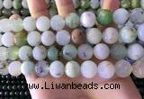 CAU464 15.5 inches 13mm - 14mm round Australia chrysoprase beads