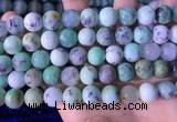 CAU469 15.5 inches 12mm round Australia chrysoprase beads