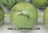 CAU544 15.5 inches 16mm round Australia chrysoprase gemstone beads