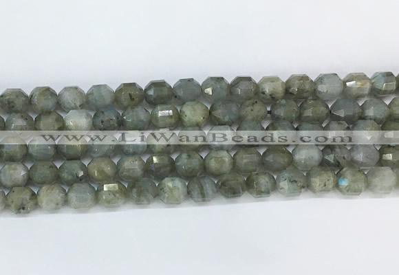 CBBS05 15 inches 8mm faceted prism labradorite beads wholesale