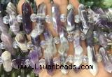 CBBS79 15 inches 8*30mm - 9*33mm hexahedral prism dogtooth amethyst beads