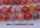 CBC402 15.5 inches 8mm A grade round orange chalcedony beads