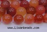 CBC414 15.5 inches 12mm AA grade round orange chalcedony beads