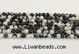 CBW171 15.5 inches 6mm round black & white jasper gemstone beads wholesale