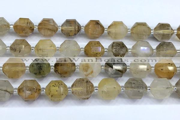 CCB1534 15 inches 11mm - 12mm faceted scenic quartz beads