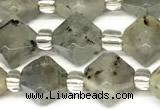 CCB1610 15 inches 10mm faceted labradorite gemstone beads