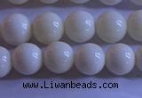 CCB302 15.5 inches 8mm round white coral beads wholesale