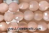 CCB543 15.5 inches 4mm faceted coin peach moonstone beads