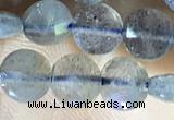 CCB607 15.5 inches 6mm faceted coin labradorite gemstone beads