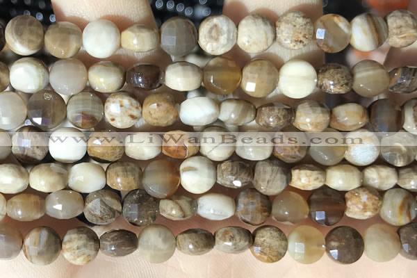 CCB622 15.5 inches 6mm faceted coin wood jasper gemstone beads