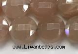 CCB683 15.5 inches 10mm faceted coin moonstone gemstone beads