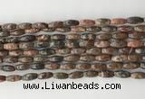 CCB810 15.5 inches 5*12mm rice leopard skin jasper beads wholesale