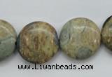 CCD04 15.5 inches 20mm flat round cordierite beads wholesale