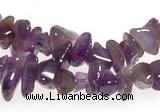 CCH12 35 inches purple amethyst chips gemstone beads wholesale