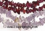 CCH19 34 inches garnet chips & amethyst chips beads wholesale