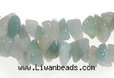 CCH20 32 inches amazonite chips gemstone beads wholesale