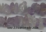 CCH222 34 inches 5*8mm lavender amethyst chips gemstone beads wholesale